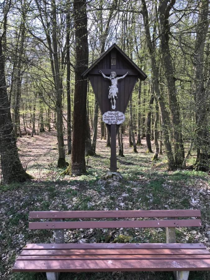 Pension-Ferienwohnung Liesbachtal Direkt Am Waldrand Bayerische Rhoen Schonau an der Brend Екстер'єр фото