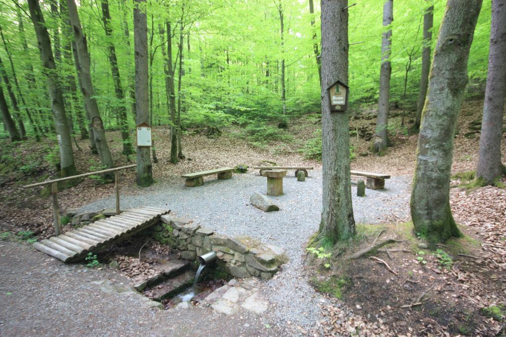 Pension-Ferienwohnung Liesbachtal Direkt Am Waldrand Bayerische Rhoen Schonau an der Brend Екстер'єр фото