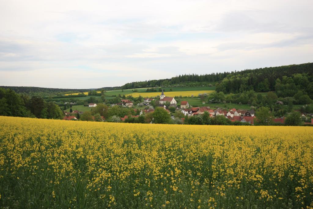 Pension-Ferienwohnung Liesbachtal Direkt Am Waldrand Bayerische Rhoen Schonau an der Brend Екстер'єр фото